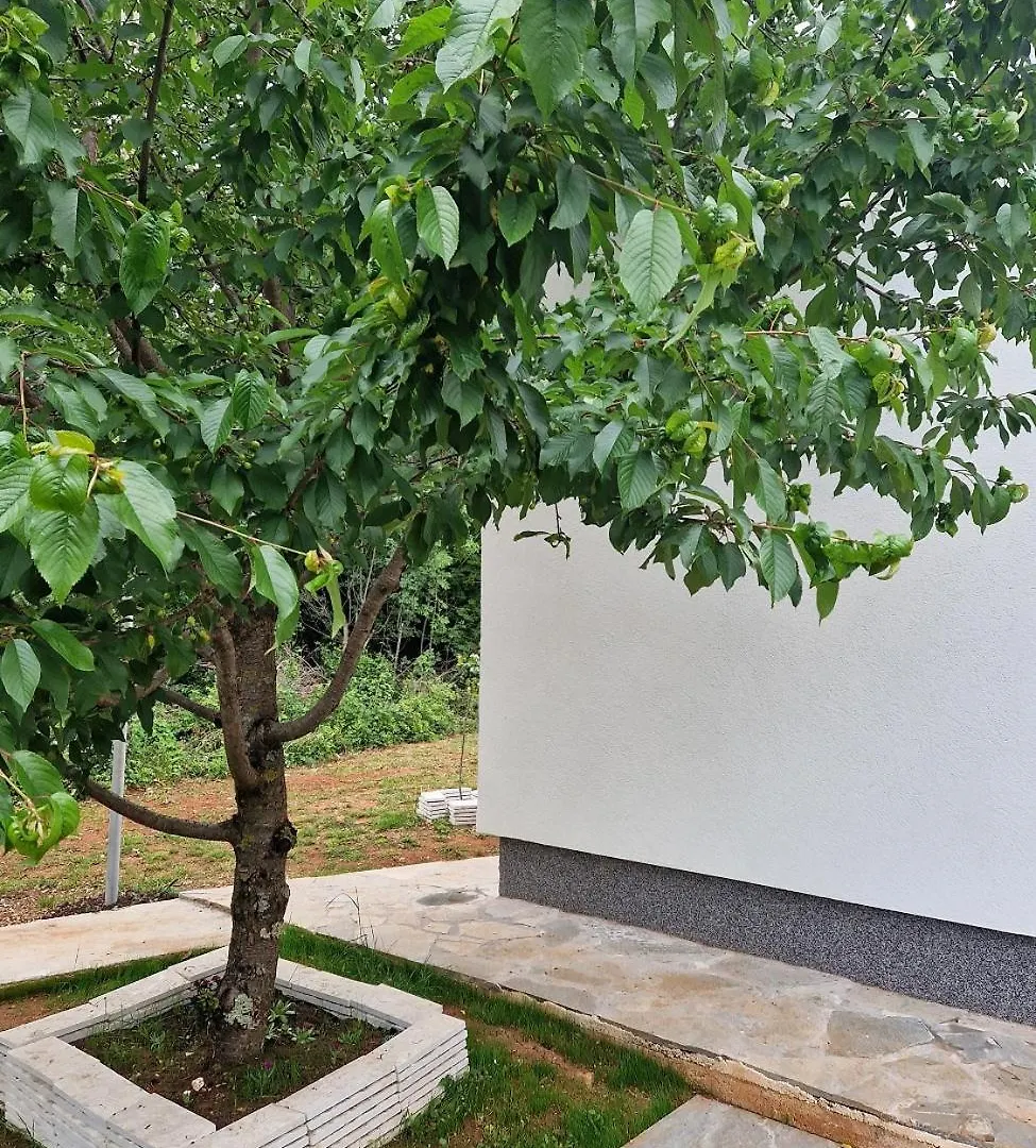 Villa De Luna Istra Barban Chorvatsko