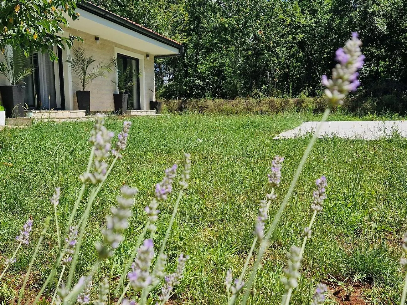 Villa De Luna Istra Barban